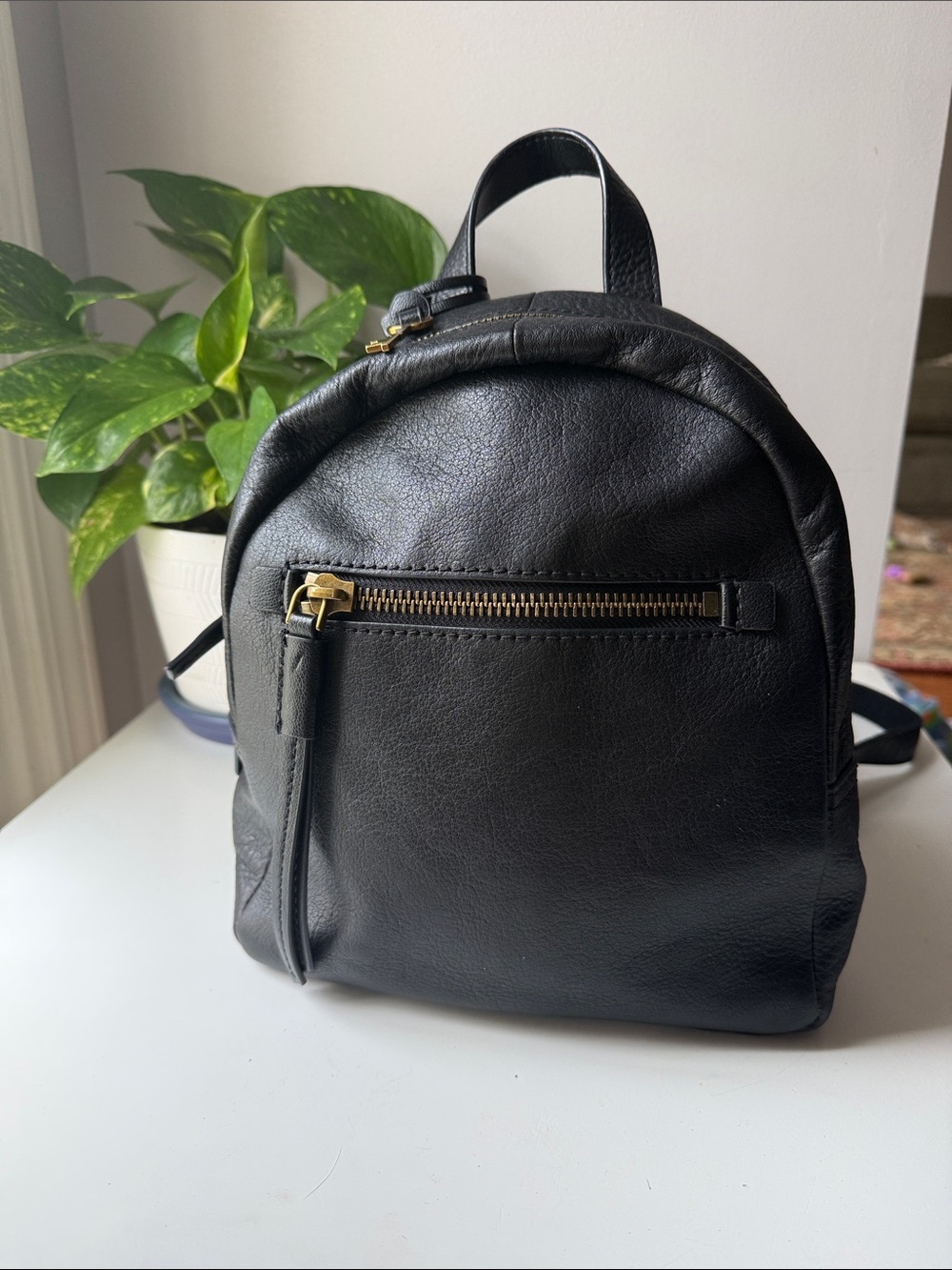 Fossil Megan Black Leather Mini Backpack with Gold Hardware